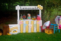 Paulette Helms Lemonade Stand 089e