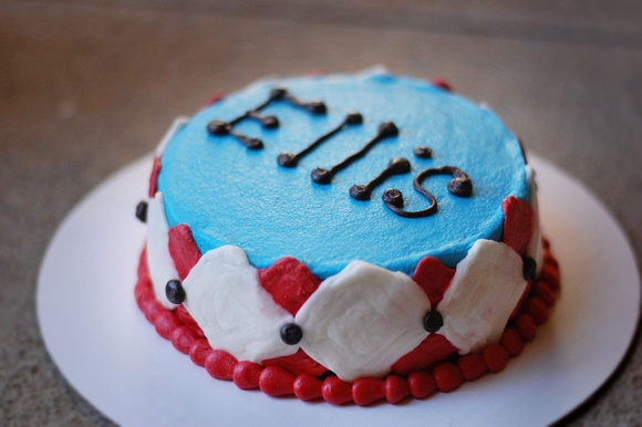 Ellis smash cake 209e
