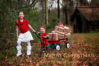 Christmas card 2012 (C & A) 064final blog