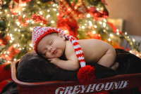 Hanna, Josh & Asher Christmas/Newborn
